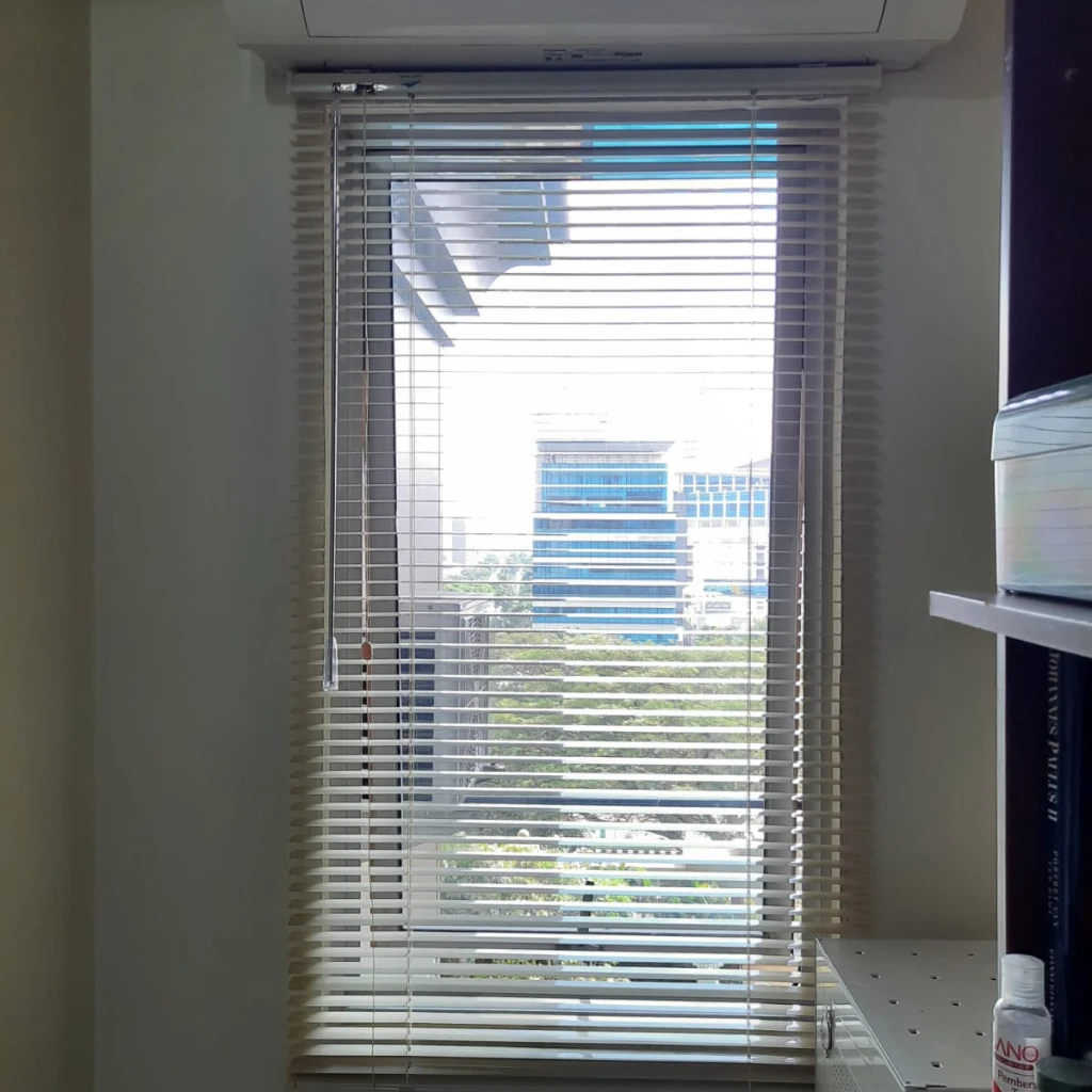 Horizontal Blinds